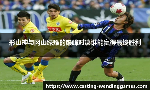 形山神与冈山绿雉的巅峰对决谁能赢得最终胜利